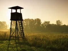 Treffer, Satz und Sieg